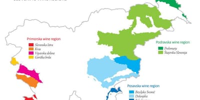 Kort over Slovenien vin